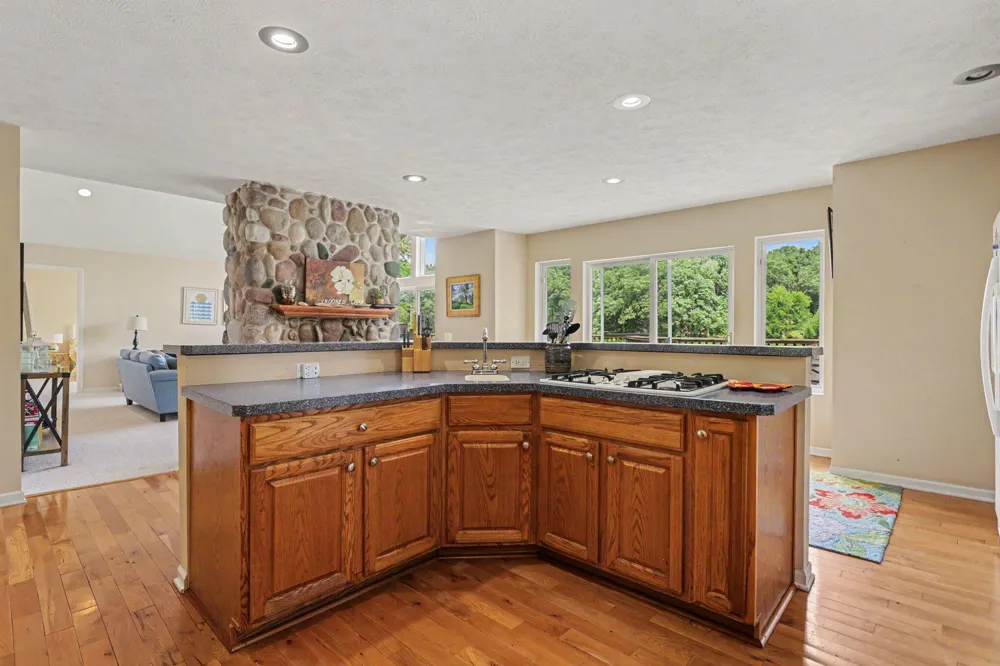 7805 Cougar Drive Delton, MI 49046