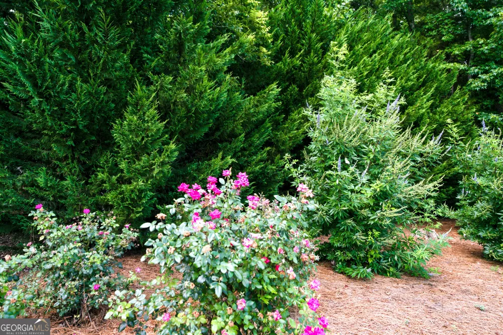 281 Petal Creek LN Jefferson, GA 30549