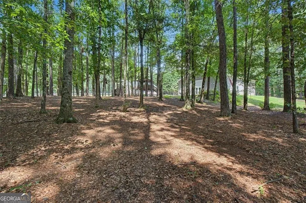 476 Providence DR Canton, GA 30115