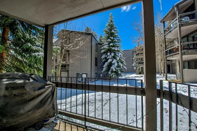 1105 Ski Hill Road #69 Breckenridge, CO 80424