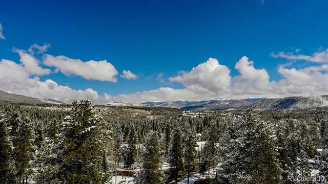 1105 Ski Hill Road #69 Breckenridge, CO 80424