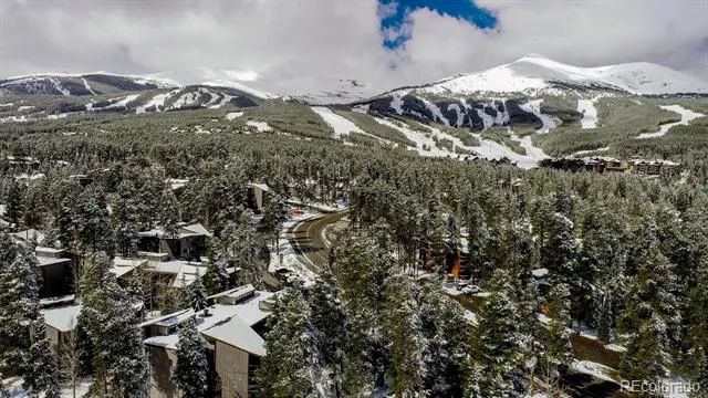 1105 Ski Hill Road #69 Breckenridge, CO 80424