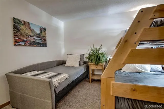 1075 Ski Hill Road #46 Breckenridge, CO 80424