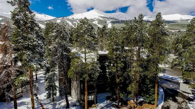 1075 Ski Hill Road #46 Breckenridge, CO 80424
