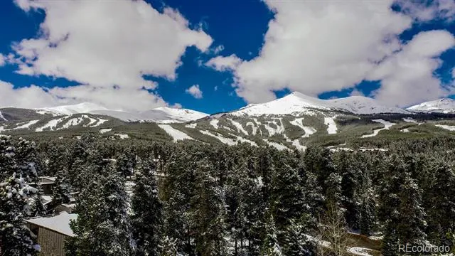 1075 Ski Hill Road #46 Breckenridge, CO 80424