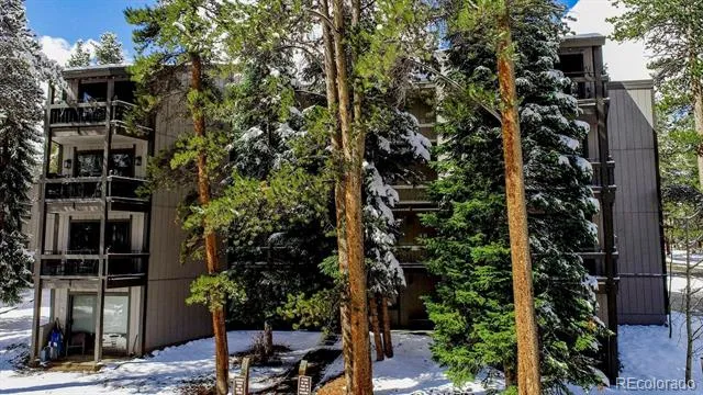 1075 Ski Hill Road #46 Breckenridge, CO 80424