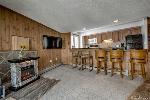 1075 Ski Hill Road #46 Breckenridge, CO 80424