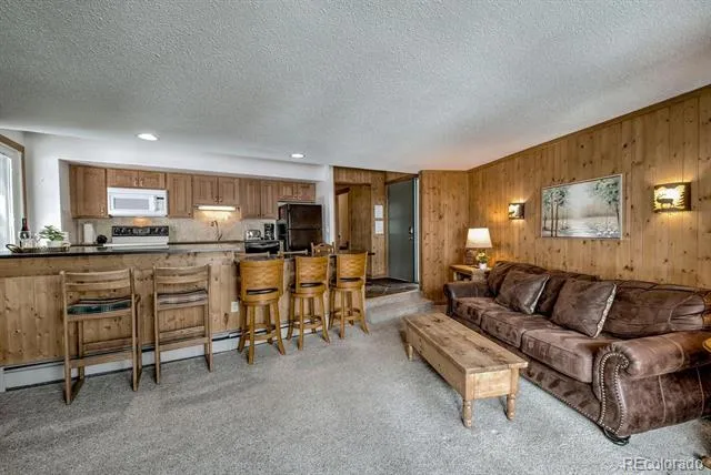 1075 Ski Hill Road #46 Breckenridge, CO 80424