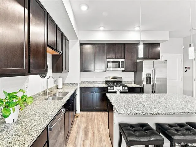 863 E 98th Avenue #1505 Denver, CO 80229