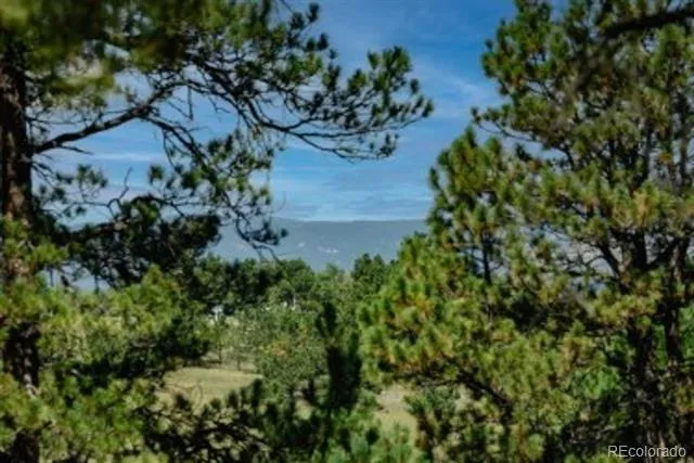 4125 Walker Vista Heights Colorado Springs, CO 80908