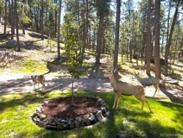 4125 Walker Vista Heights Colorado Springs, CO 80908
