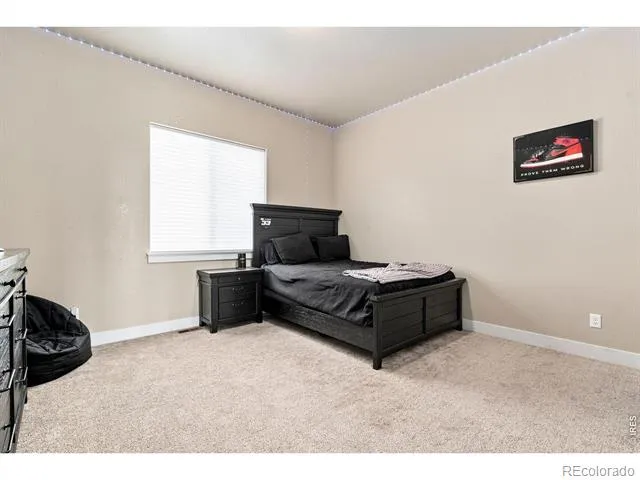 870 Loess Lane Windsor, CO 80550