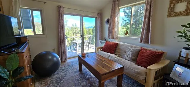 22800 County Road 185 C Salida, CO 81201