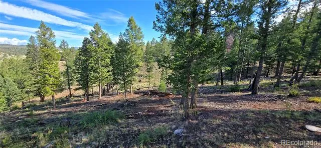 22800 County Road 185 C Salida, CO 81201