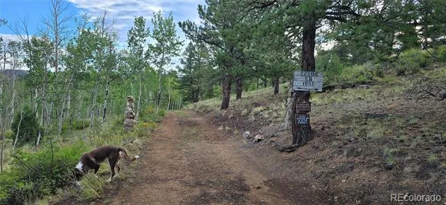 22800 County Road 185 C Salida, CO 81201