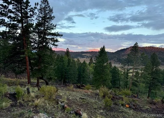 22800 County Road 185 C Salida, CO 81201