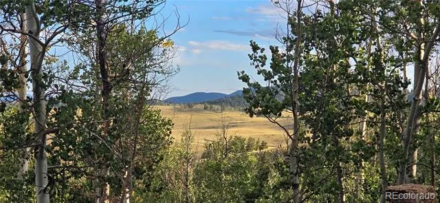 22800 County Road 185 C Salida, CO 81201