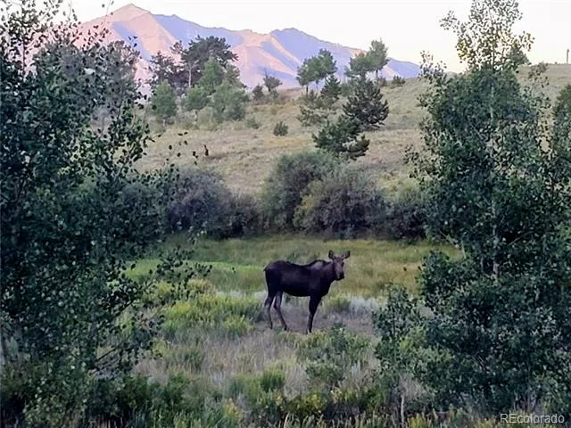 22800 County Road 185 C Salida, CO 81201