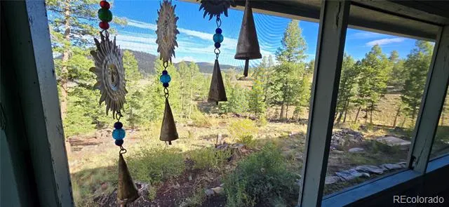 22800 County Road 185 C Salida, CO 81201
