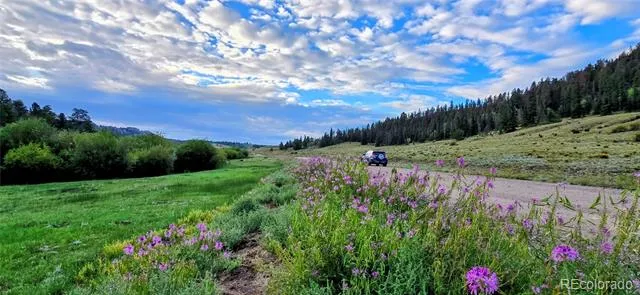 22800 County Road 185 C Salida, CO 81201