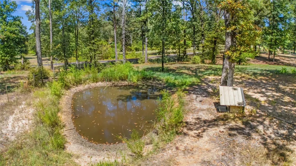 376 County Road 2008 Shelbyville, TX 75973