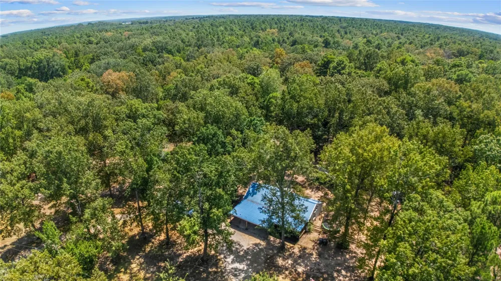 376 County Road 2008 Shelbyville, TX 75973