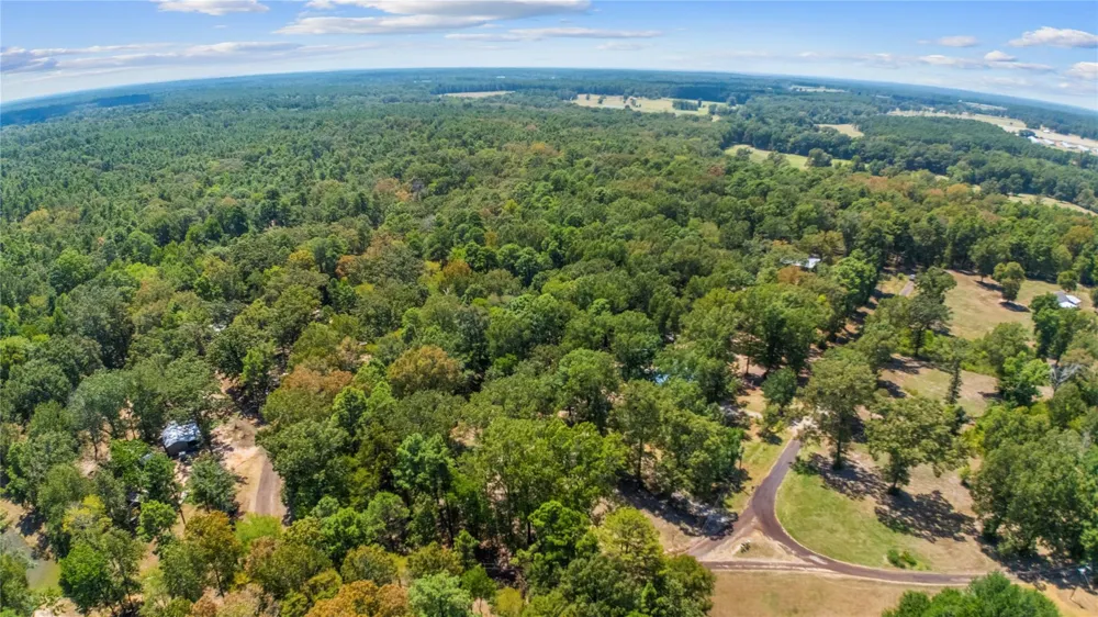 376 County Road 2008 Shelbyville, TX 75973