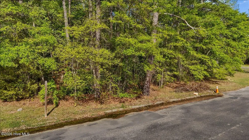 Lot 1 Biltmore Drive Rockingham, NC 28379