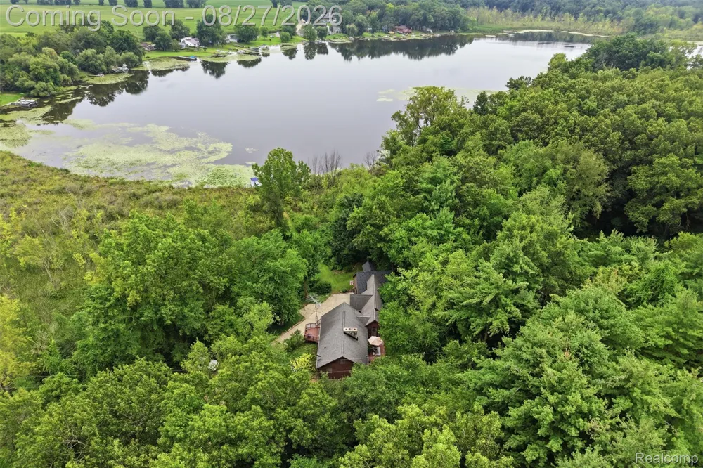 9317 Lovejoy Road Deerfield Township, MI 48451