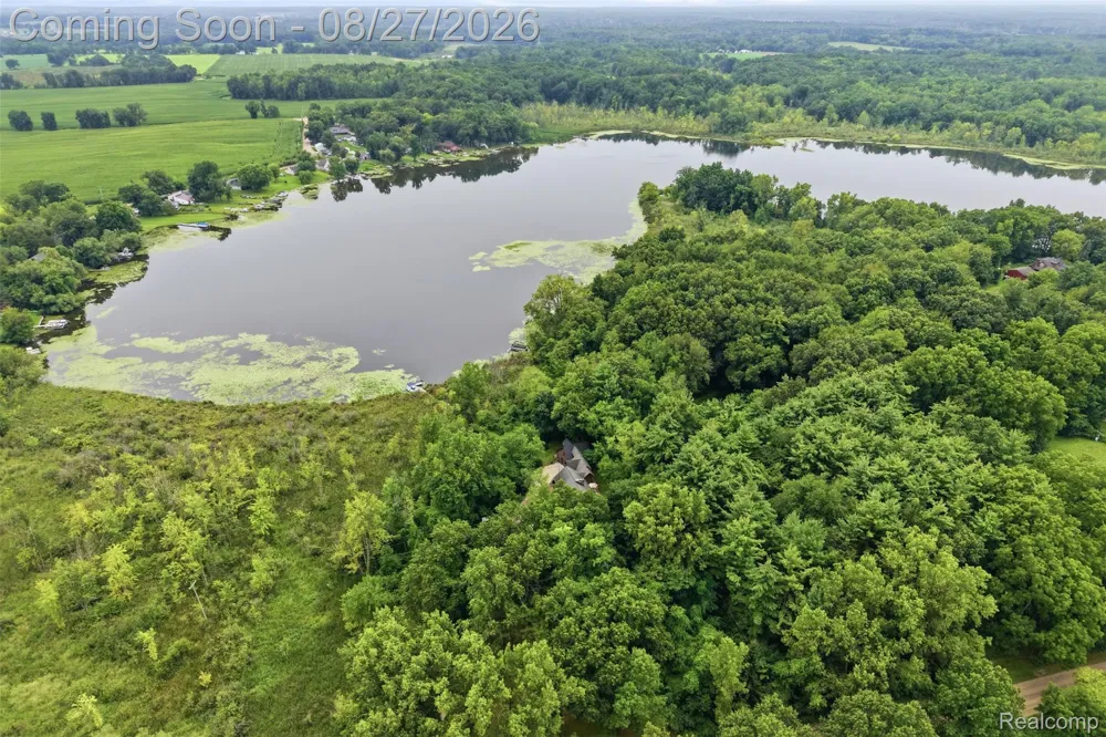 9317 Lovejoy Road Deerfield Township, MI 48451