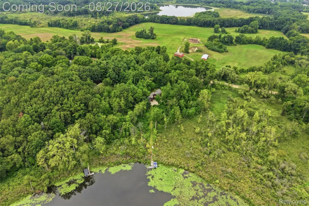 9317 Lovejoy Road Deerfield Township, MI 48451