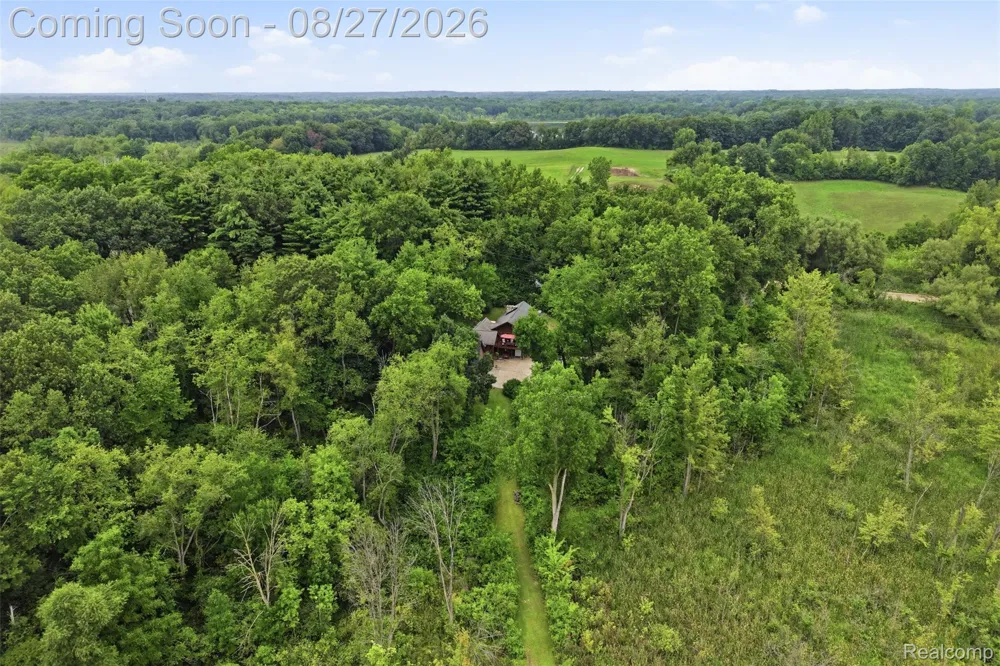 9317 Lovejoy Road Deerfield Township, MI 48451