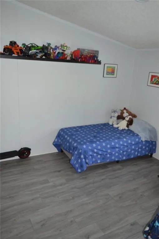 125 Overlook Ridge Court Alto, GA 30510