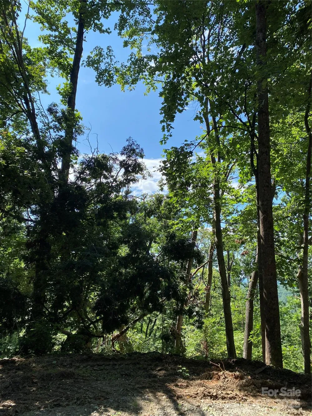 0 Winesap Boulevard #81 Lake Lure, NC 28746