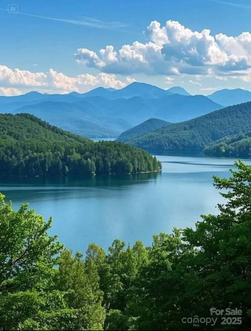 0 Winesap Boulevard #81 Lake Lure, NC 28746