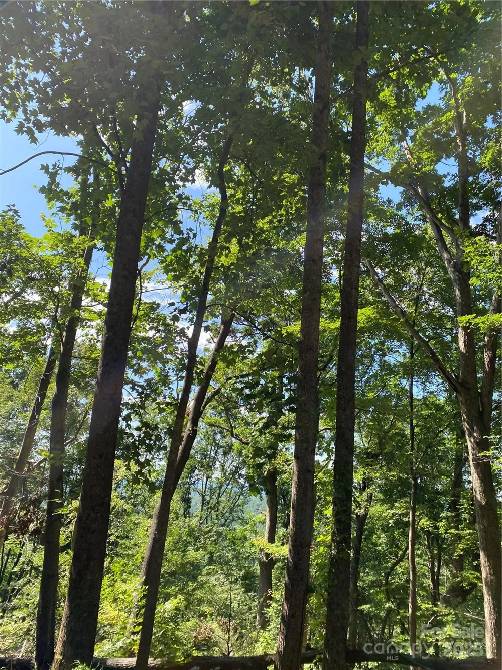0 Winesap Boulevard #81 Lake Lure, NC 28746