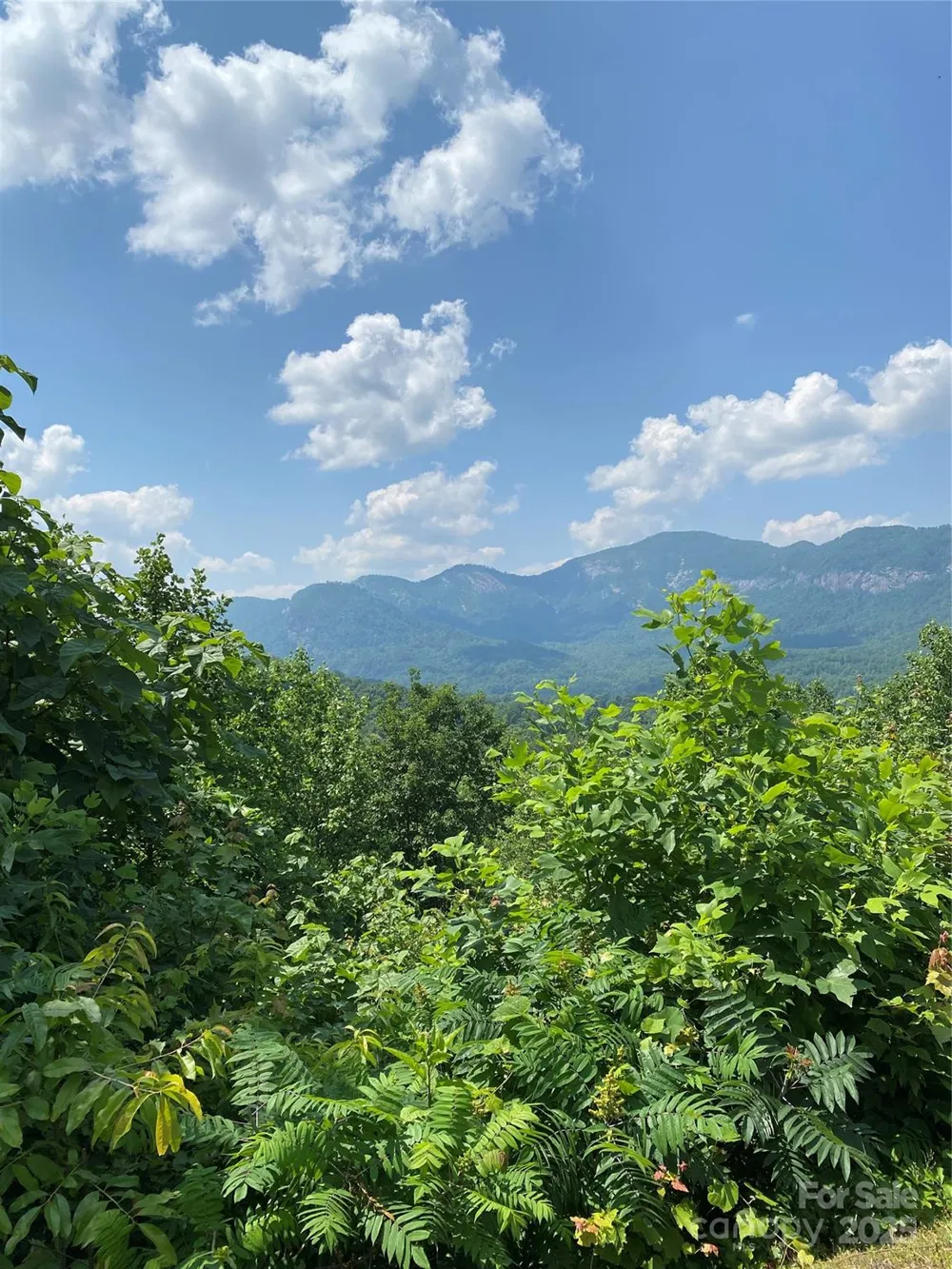 0 Winesap Boulevard #81 Lake Lure, NC 28746