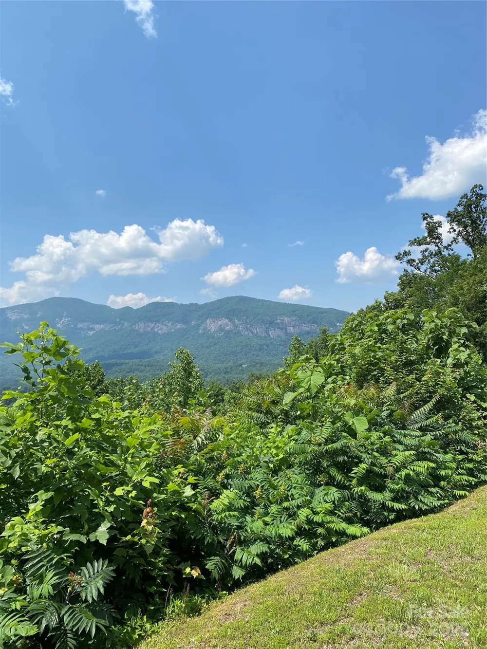 0 Winesap Boulevard #81 Lake Lure, NC 28746