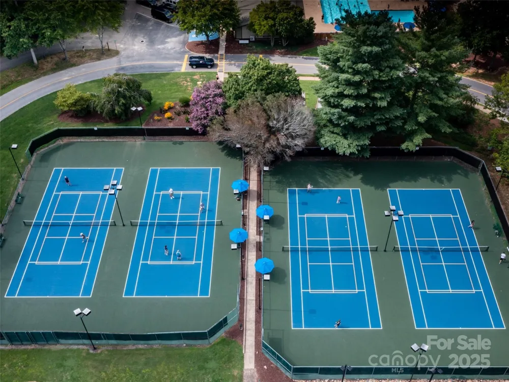 0 Winesap Boulevard #81 Lake Lure, NC 28746