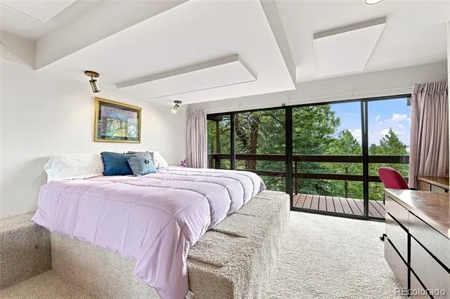 22703 Hagler Drive Golden, CO 80401