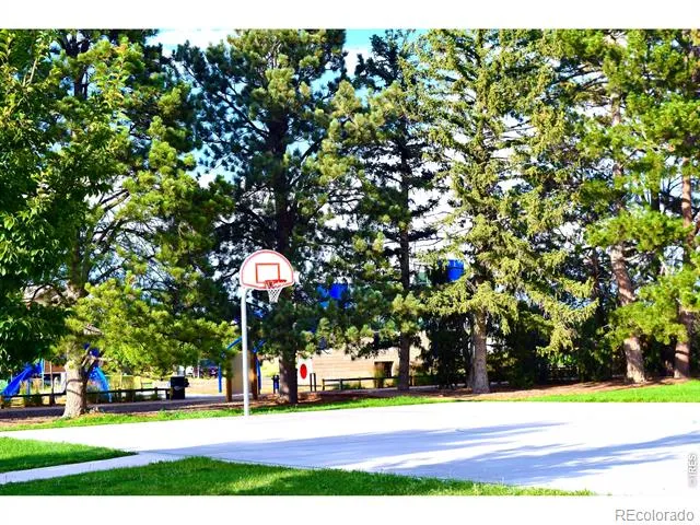 756 Three Forks Drive Fort Collins, CO 80524