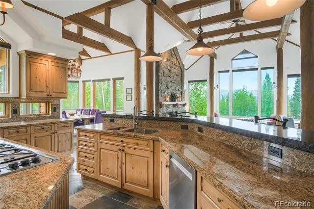 264 Little Sallie Barber Trail Breckenridge, CO 80424