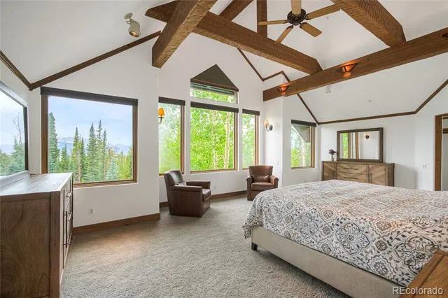 264 Little Sallie Barber Trail Breckenridge, CO 80424