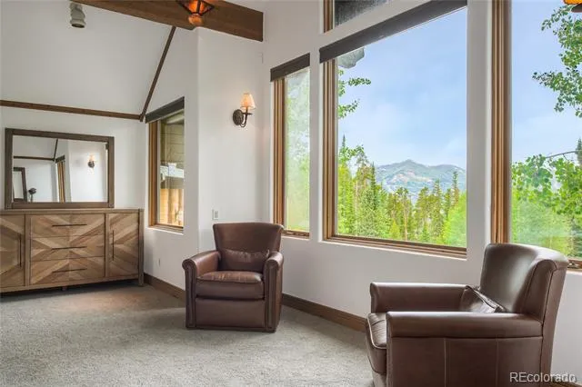 264 Little Sallie Barber Trail Breckenridge, CO 80424