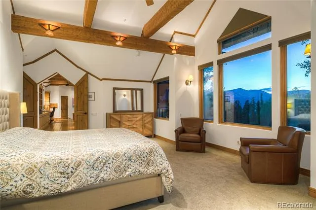 264 Little Sallie Barber Trail Breckenridge, CO 80424