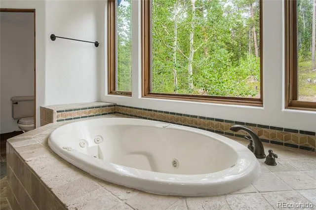 264 Little Sallie Barber Trail Breckenridge, CO 80424