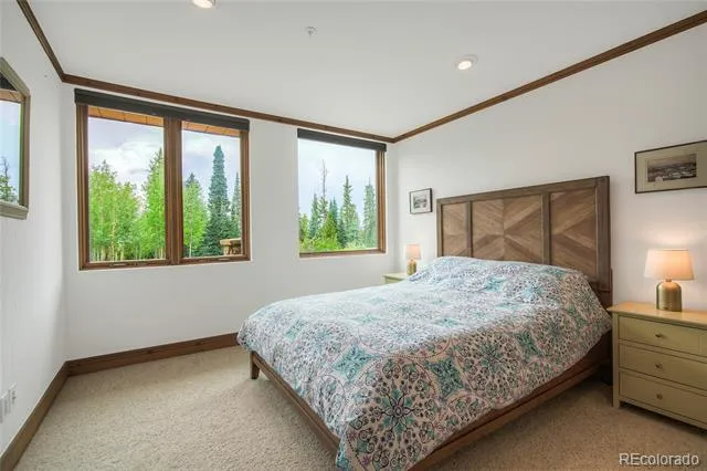 264 Little Sallie Barber Trail Breckenridge, CO 80424