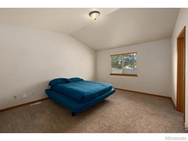 343 Scotch Pine Court Severance, CO 80550