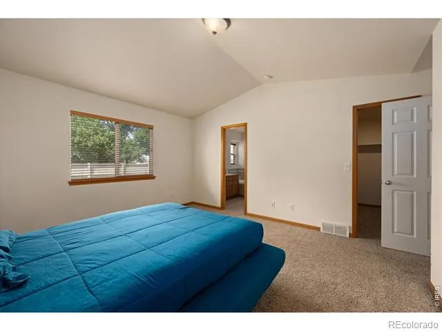 343 Scotch Pine Court Severance, CO 80550