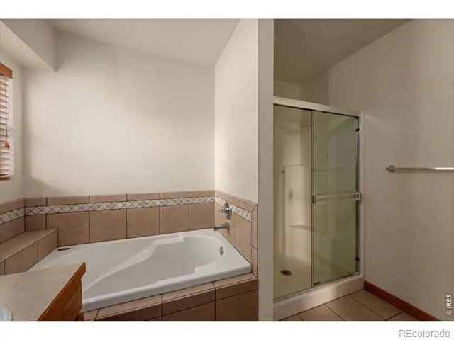 343 Scotch Pine Court Severance, CO 80550